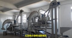 Good effect of Acer truncatum shelling machine